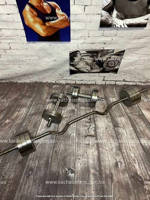 Штанга W-подібна + гантелі металеві 2 по 16 кг Набір 38 кг Гантелі, гирі, штанги та диски набірні Київ - фото 2