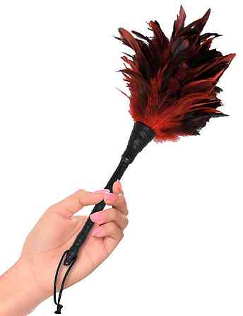 Тіклер FFS Frisky Feather Duster Sex Aura Київ