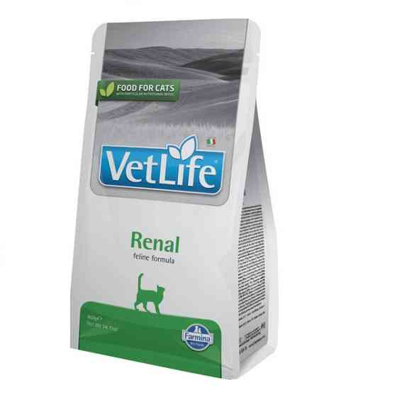 Сухий корм Farmina Vet Life Renal для котів для підтримки функції нирок, 400 г Київ