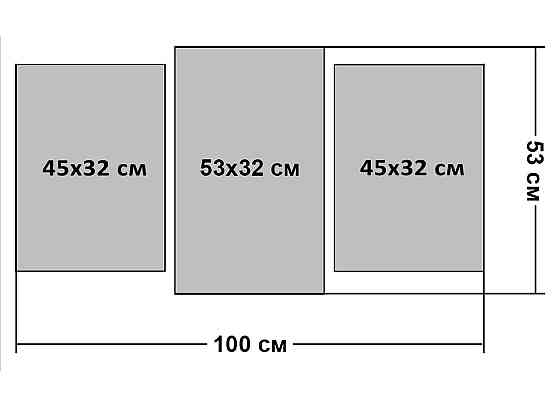 Модульна картина Кольори Ніжні Піони Art-520_3 (53х100sм) Київ