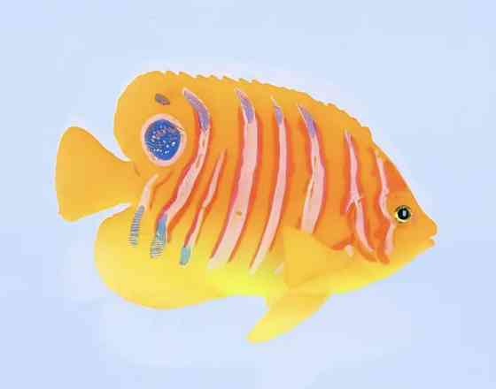 Искусственная рыбка Ангел для аквариума декор силиконовая и люминесцентная 7 на 9,5 см оранжевая Киев