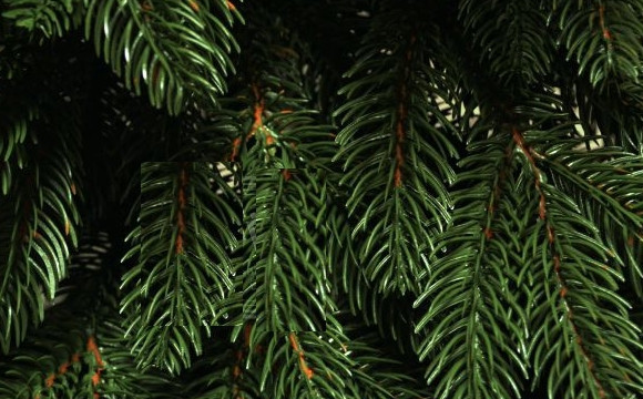 Гірлянда з хвої Преміум 1.5 м лита (Зелена) Київ - фото 8