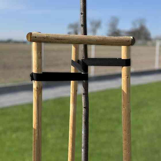 Стрічка для стабілізації дерев, TREE SUPPORT, 30 мм x 25 м, TYTS3025/BK Київ