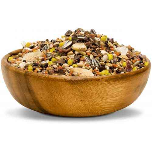 Корм Vitakraft African для середніх африканських папуг 750 г Київ