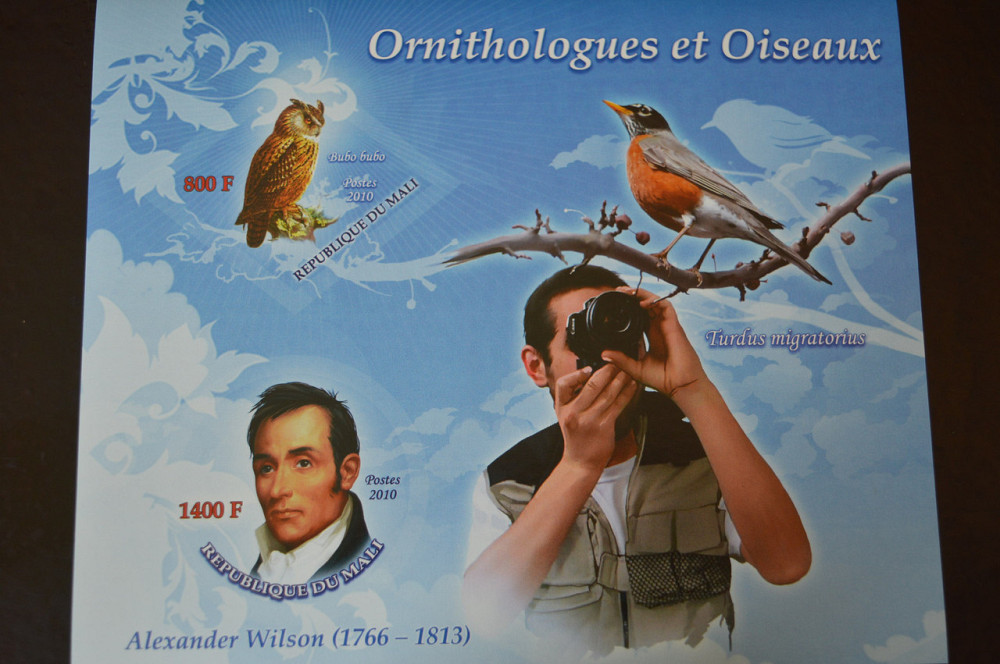 Марки. Фауна. Блок. 2010 рік (А-31) Полтава - фото 1