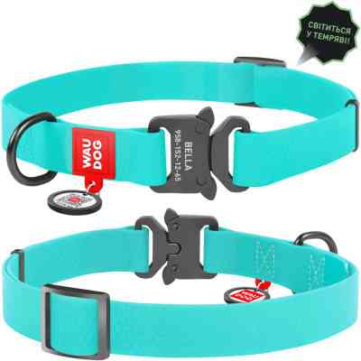 Нашийник для тварин WAUDOG Waterproof з QR металічна пряжка-фастекс Ш 25 мм Д 38-58 см ментоловий (2783) Вінниця