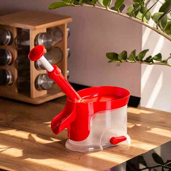 Выдавливатель косточек для вишни и черешни с контейнером Киев