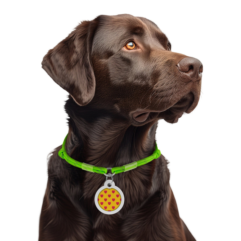 Шнурок для адресника з паракорду WAUDOG Smart ID, світловідбиваючий, розмір М, діаметр 4 мм, довжина 42-76 см салатовий Київ - фото 2