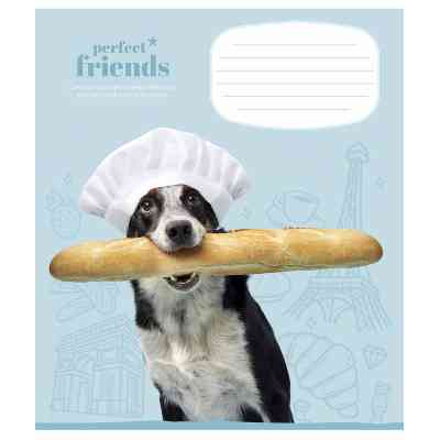 Зошит Школярик Perfect friends 12 аркушів клітинка (012-3250K) Вінниця