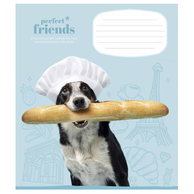 Зошит Школярик Perfect friends 12 аркушів клітинка (012-3250K) Вінниця - фото 1