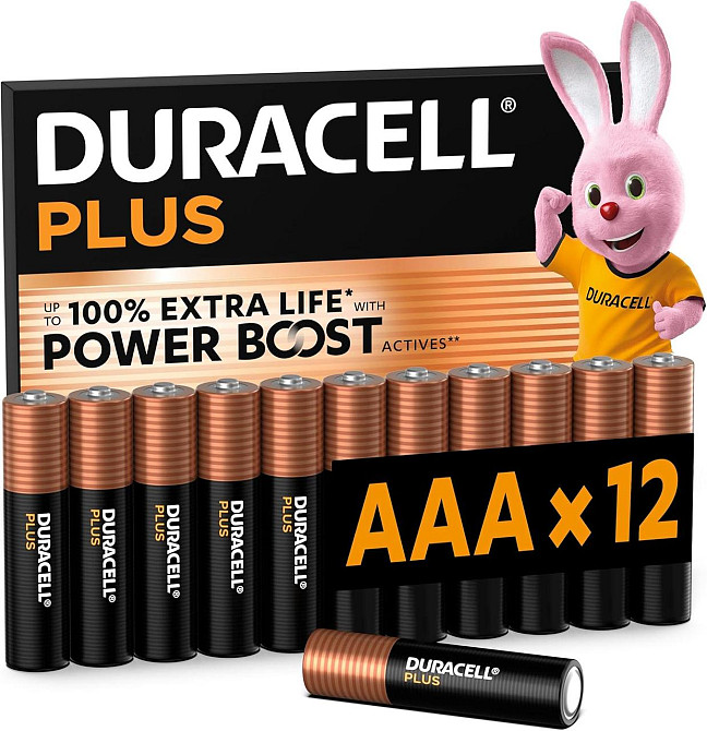 Батарейки AAA Duracell Plus LR03 MN2400 1.5В алкалиновые 12 штук упаковка без пластика Киев - изображение 1