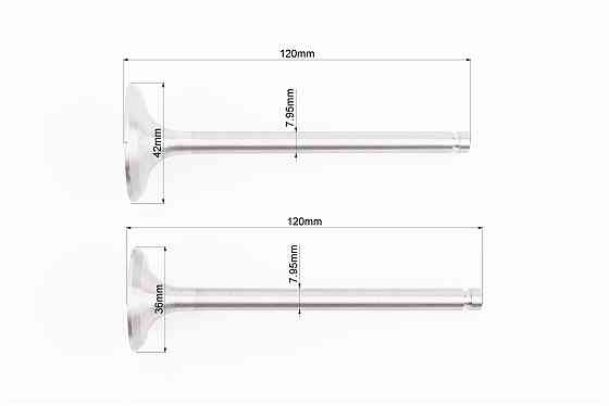 Клапан впускний (h-120; D-42; d-7,95), випускний (h-120; D-36; d-7,95) + клапанний механізм к-кт R195NM Киев