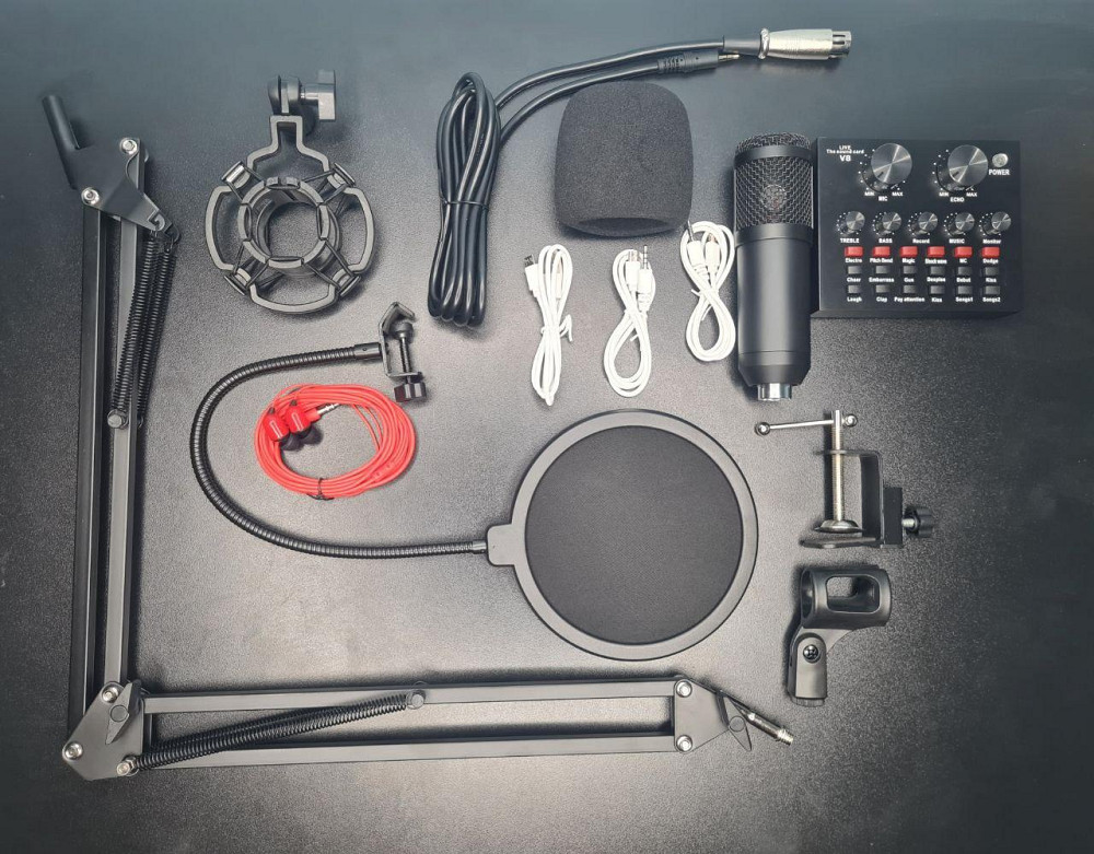 Професійний студійний мікрофон для ПК Клевань - фото 2