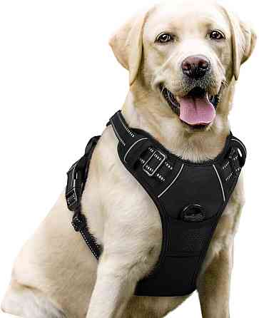 Шлея ля собак великих порід Rabbitgoo Dog M Луцьк