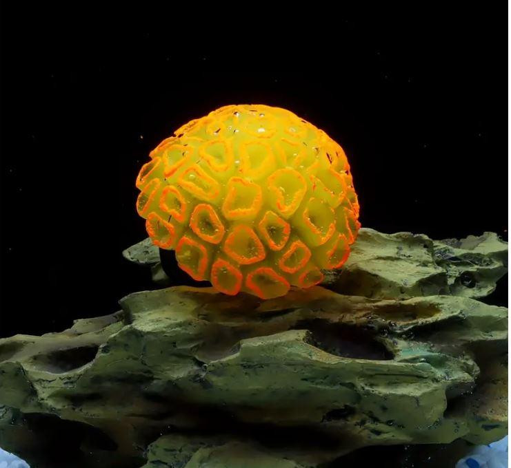 Декорация для аквариума - Коралл Желтый Киев - изображение 1