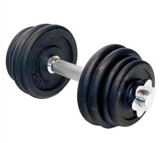 Гантель разборная чугунная HMS SG04, 15 кг Киев