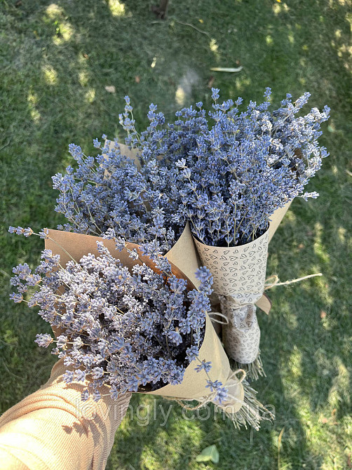 Лаванда сухоцвіт на стеблі 1 кг натуральні квіти лаванди для флористики та декору Ірпінь - фото 6