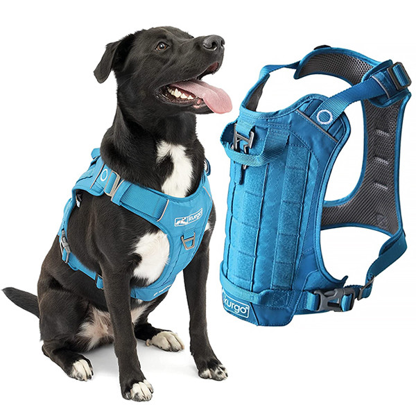 Kurgo County Harness КУРГО КАУНТИ шлея для собак Киев - изображение 1