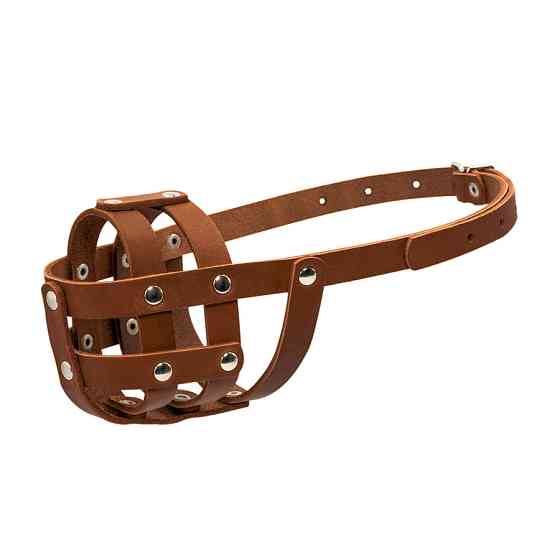 Намордник м'який "CoLLaR" №0 (спанієль) коричневий Коломыя