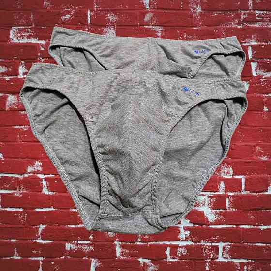 Чоловічі труси міні однотонні сірі (2шт в уп) Lans 04/005 Київ