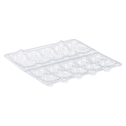 Упаковка для перепелиных яиц 10 ячеек (50 шт) Харьков - изображение 4