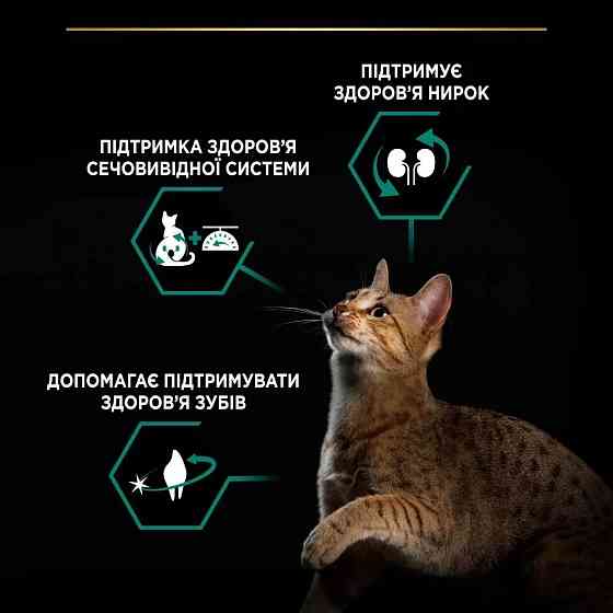 Сухий корм PRO PLAN Sterilised Adult 1+ Renal Plus для дорослих стерилізованих котів, з індичкою, 14 кг Київ