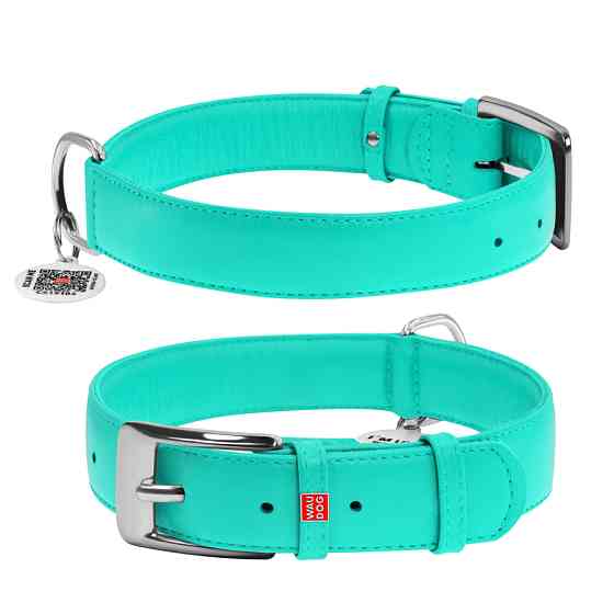 Нашийник для собак шкіряний WAUDOG Glamour з QR паспортом, без прикрас, XL, Ш 35 мм, Дов 46-60 Коломия