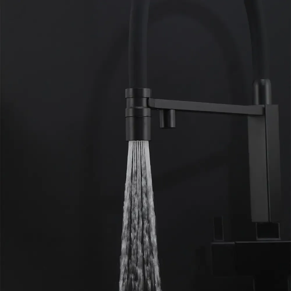 Смеситель для кухни с подключением к фильтру GAPPO G4395-56 с гибким изливом, черный Киев - изображение 5