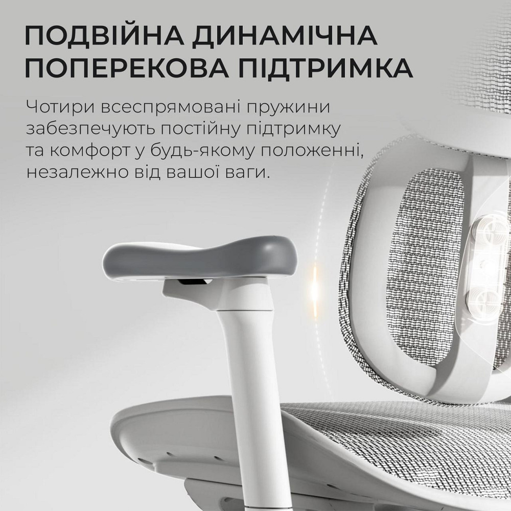 Крісло офісне Sihoo Doro S100 Mesh White (S100-M302) ( 24960 ) Харків - фото 14