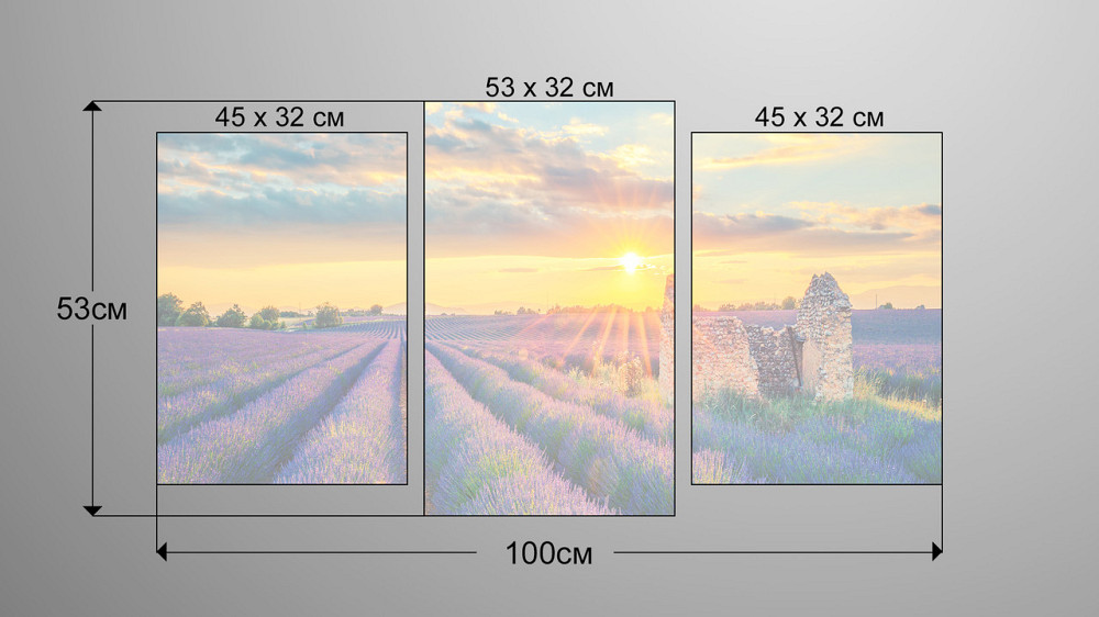 Модульна картина Полі лаванди Art-198_3 Київ - фото 3