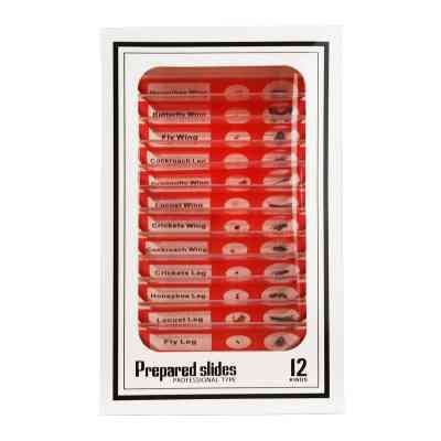 Набор микропрепаратов Sigeta Entrance Будова комах (12 шт) (65122) Винница