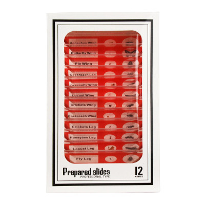 Набір мікропрепаратів Sigeta Entrance Будова комах (12 шт) (65122) Вінниця - фото 3