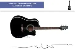 Гітара Takamine EF341SC Киев - изображение 1