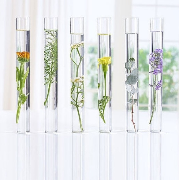 Біо-засіб для видалення макіяжу з очей Алое Logona 125 мл Київ - фото 2