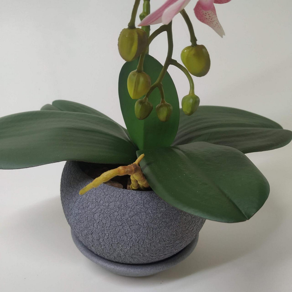 Штучна латексна міні орхідея преміум у сірому керамічному кашпо на дві гілки біло-рожева. Дніпро - фото 2