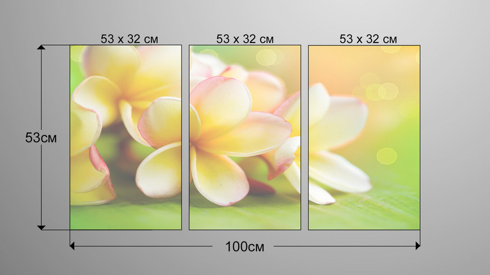 Модульна картина Квіти Аrt-96_3А Київ - фото 3