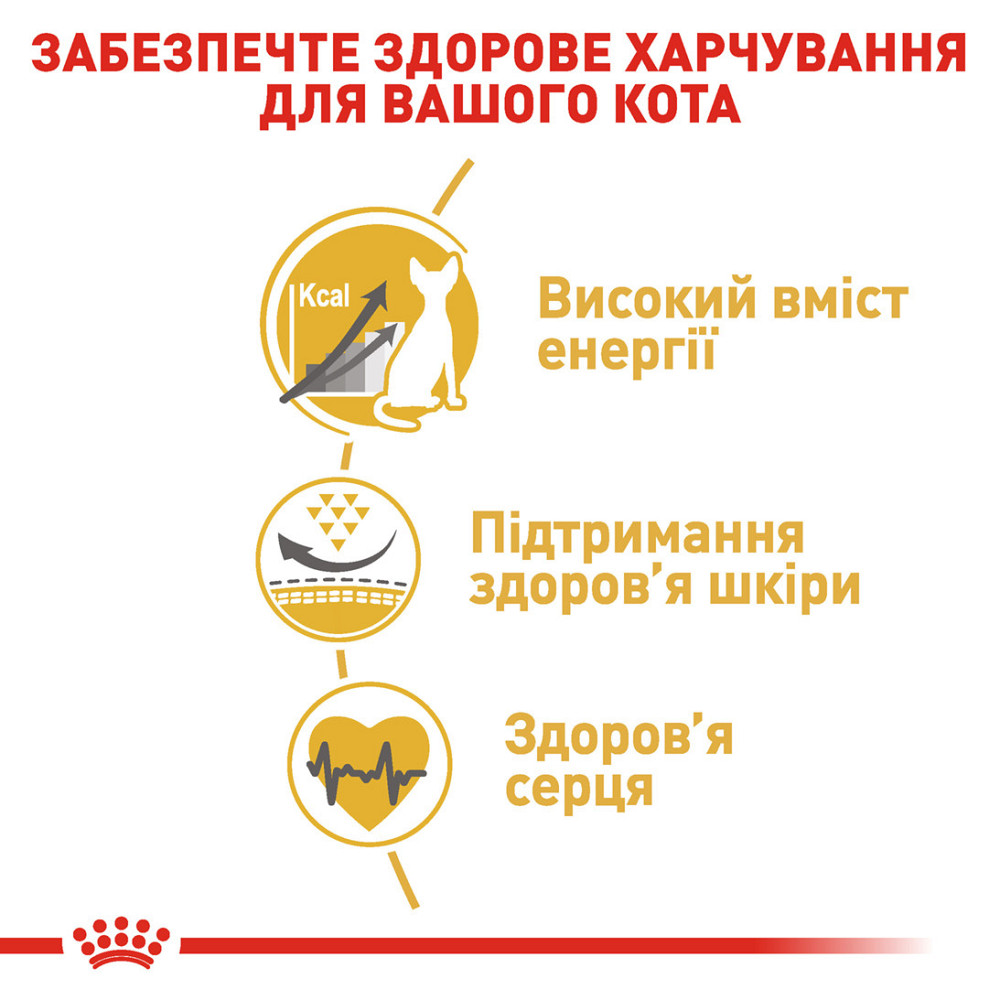 Корм для дорослих котів породи Сфінкс ROYAL CANIN SPHYNX ADULT 10.0 кг Київ - фото 5