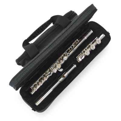 Кейс для духовых инструментов Gator Flute Case (GL-FLUTE-A) Винница