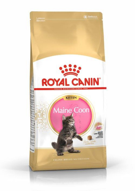 Royal Canin Maine Coon Kitten (Роял Канин Киттен мейн кун) сухой корм для котят 2 кг. Запорожье - изображение 1