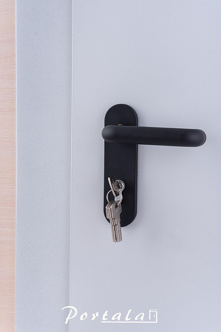 Двері технічні полуторні, ЕІ30 , гнутий профіль 80 мм, РАЛ 7035, товщина полотна 60 мм,1200 Київ - фото 1