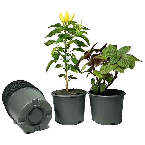 Стакан для розсади 380 мл пластиковий чорний, міцний, ящик 1950 штук Харків