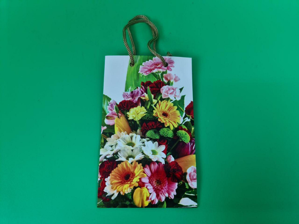 Пакет паперовий подарунковий малий 11/18/5 (арт М042) (12 шт.) Харків - фото 4