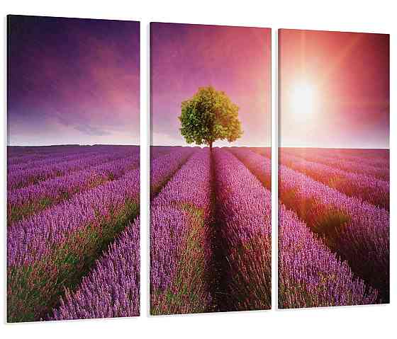 Модульная картина Лавандовое поле на Закате Art-48_XXL 70x130 см Киев