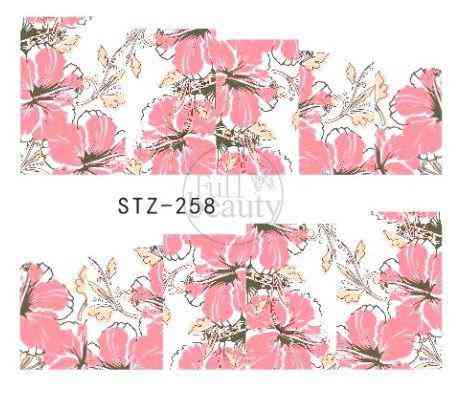 Наклейки для ногтей STZ-258 Киев