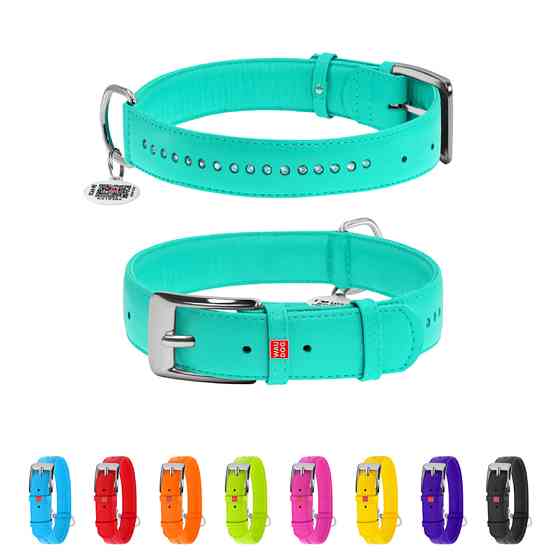 Нашийник для собак шкіряний WAUDOG Glamour з QR паспортом, подвійний зі стразами, M, Ш 20 мм, Д Коломия