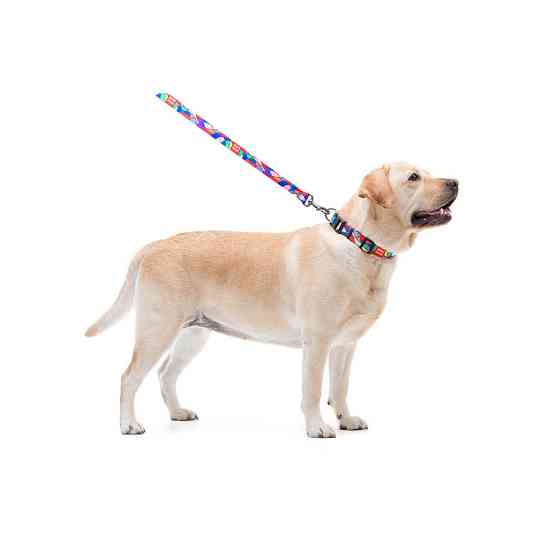 Нашийник для собак нейлоновий WAUDOG Nylon з QR-паспортом, малюнок "Вітраж", пластиковий фастекс, Ш 20 мм, Дл Вінниця