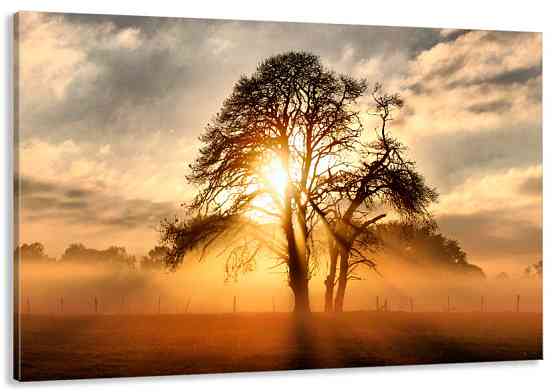 Картина холст в гостиную / спальню  Природа    MLP_110 80х160см Киев