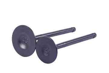 Клапани (пара, голі) 4T CG300 Мукачево