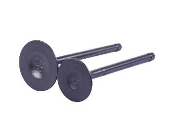 Клапаны (пара, голые) 4T CG300 Мукачево - изображение 1