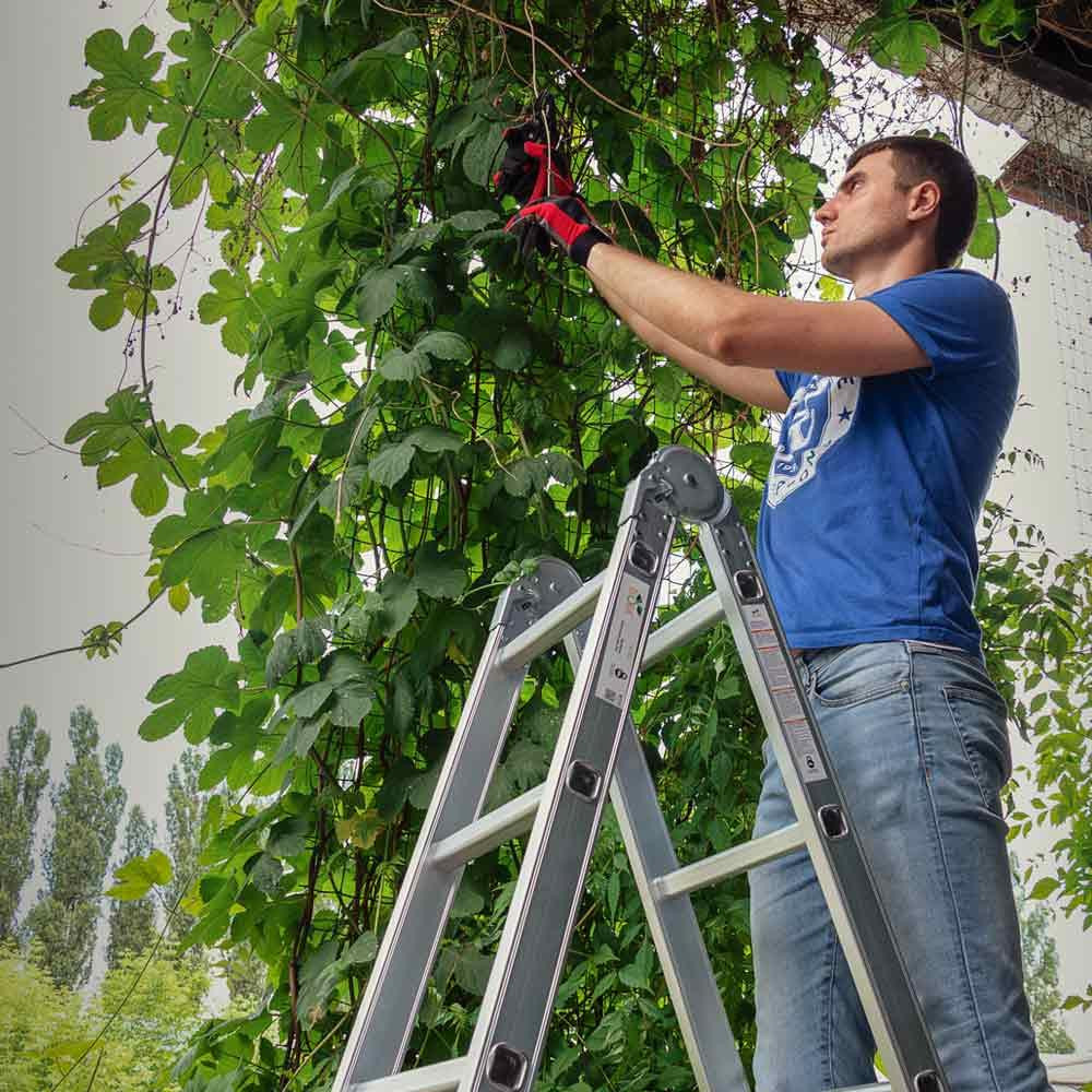 Драбина багатоцільова алюмінієва 4×3 щаблі 3.56м FLORA (5031314) Київ - фото 5